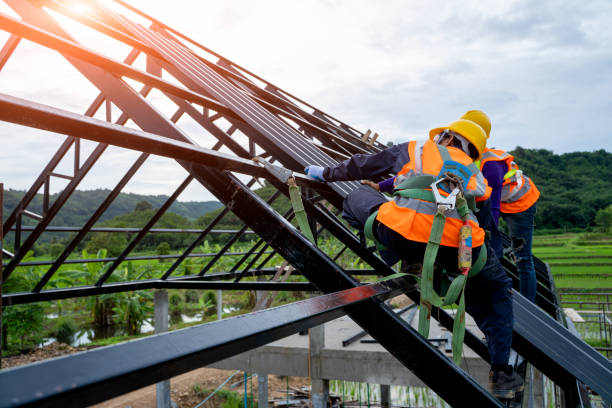Best Gutter Installation and Roofing  in Faison, NC