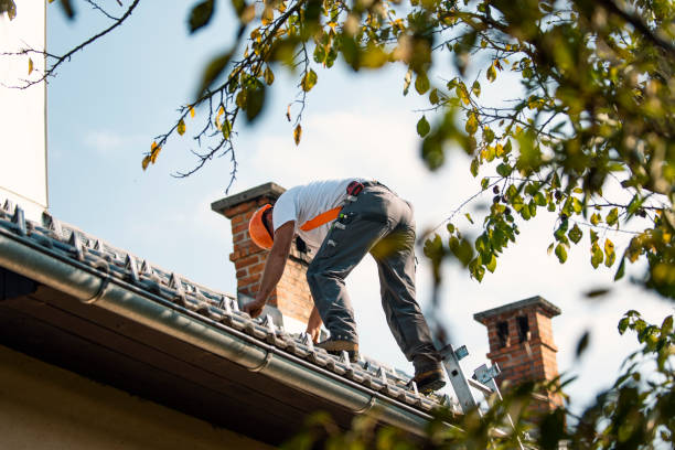 Best Flat Roof Repair Services  in Faison, NC